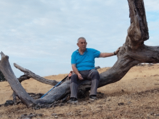 Conversaciones con Bingo. De oropendolas y el camino por trazar: